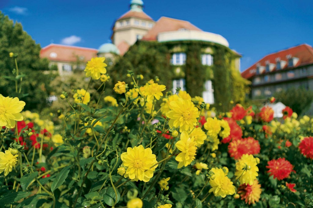 Botanischer Garten